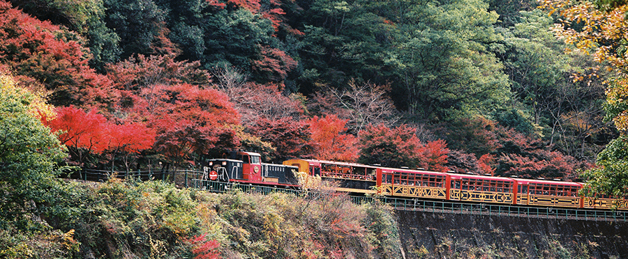 カーシェアで お茶の京都 森の京都 を巡ろうキャンペーン カーシェアリングのタイムズカーシェア