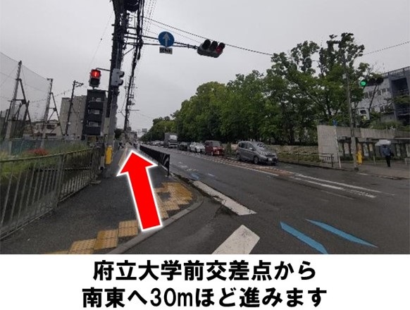 ドスベロ　インドの大運動会　地下二階の秘密　SCREEN7 rectangle_large_type_2_baa11ba